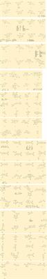 Comprehensive overview of different medicinal parts from Morus alba L.: chemical compositions and pharmacological activities